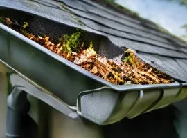 Services Gutter Cleaning Services Gutter Cleaning